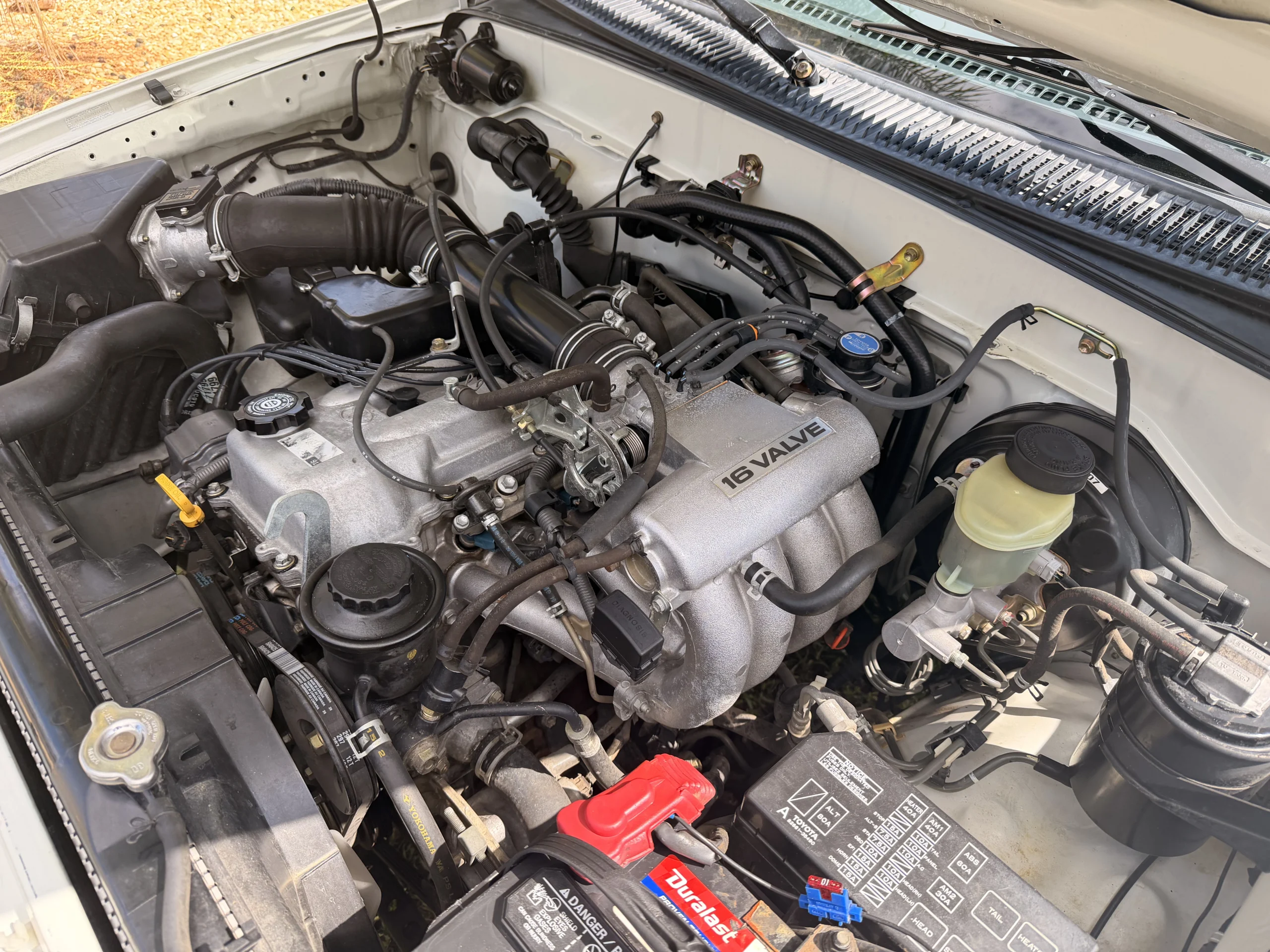 1996 Toyota Tacoma LX
